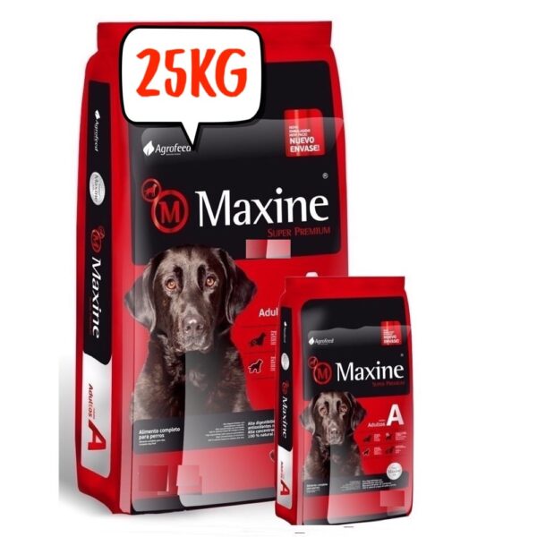 maxine adulto super premium 30web min