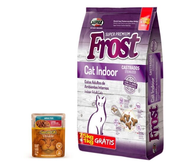 frost cat indoor