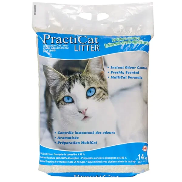 praacti cat