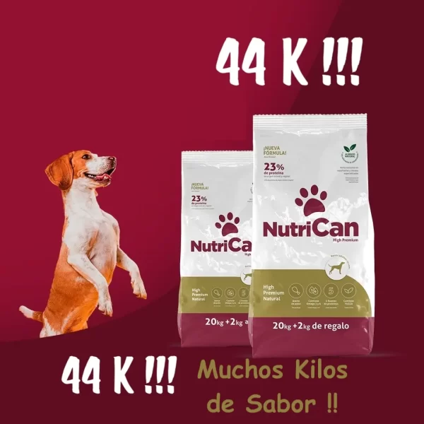 nuevo nutrican