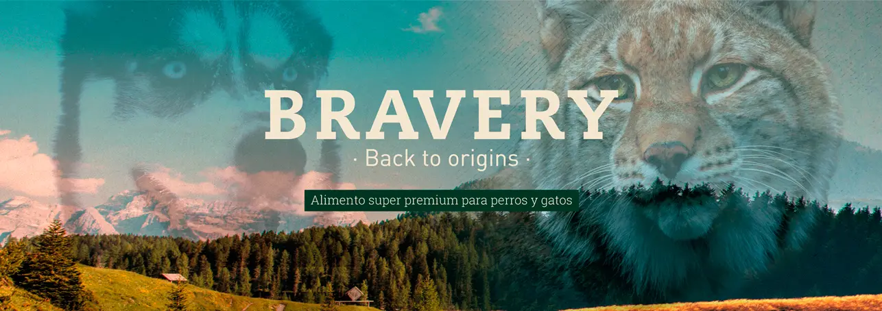 bravery