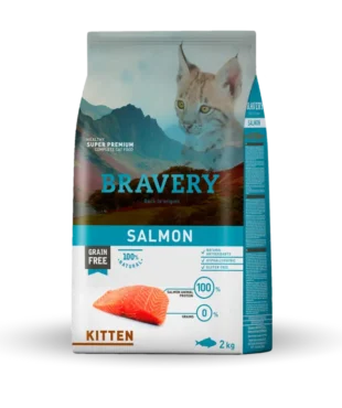 bravery kitten salmon